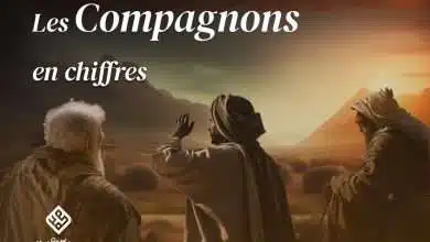 compagnon en chiffres